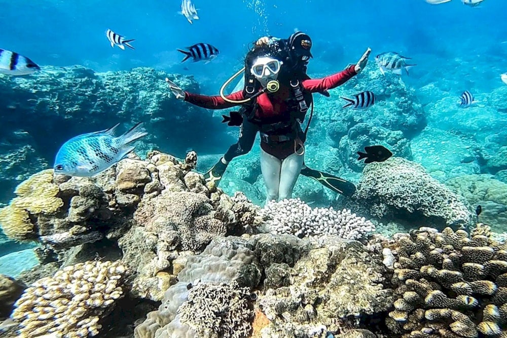 The best time to scuba dive is from March to May, when the weather is sunny and the water is clear